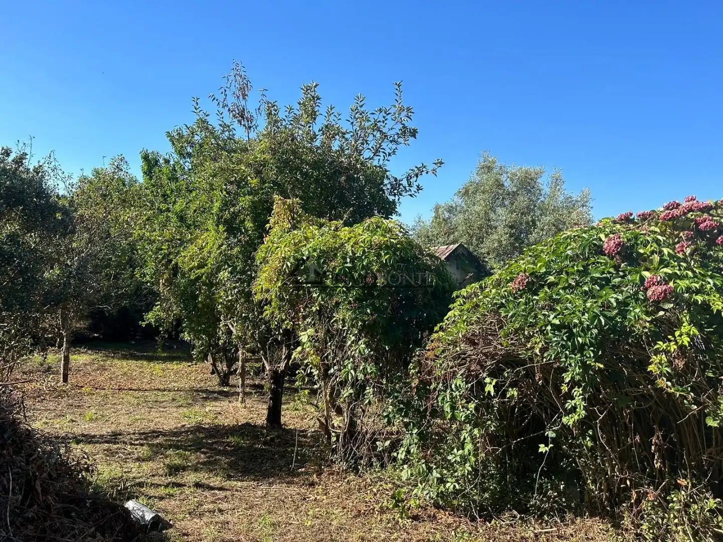 Casa o xalet en venda en Vilaboa amb Jardí privat