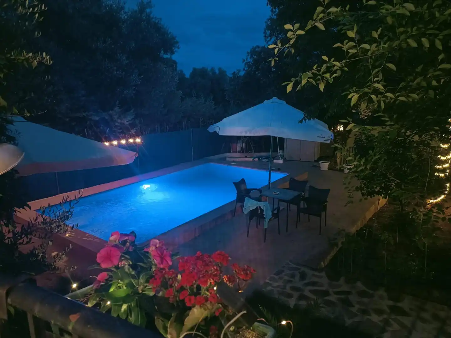 Piscina de Casa o xalet en venda en Piedrabuena amb Aire condicionat, Calefacció i Jardí privat