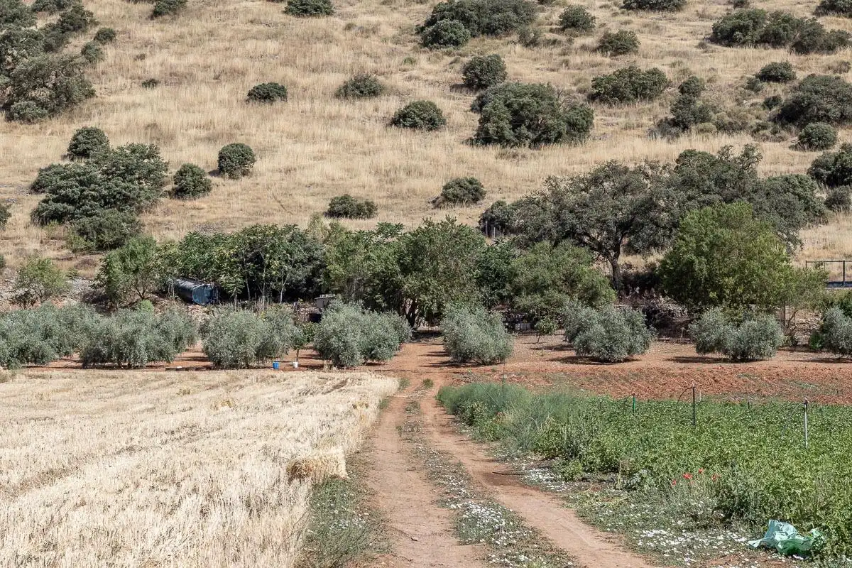 Land for sale in Montefrío