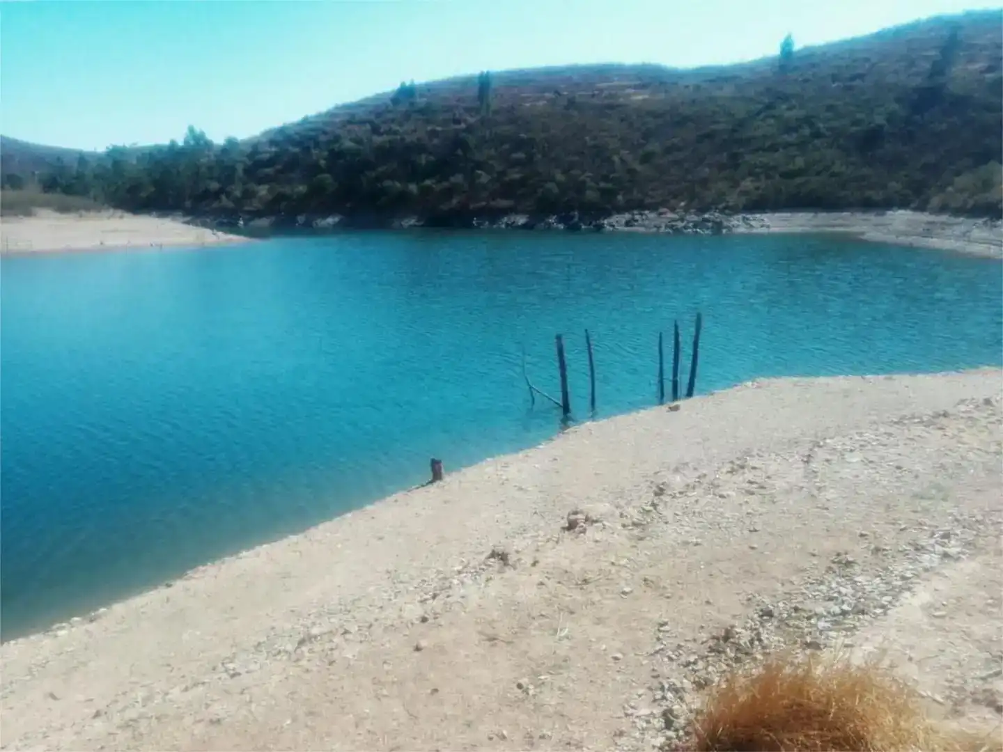Grundstücke zum Verkauf in El Madroño