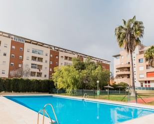 Flat to rent in Pinar Alto