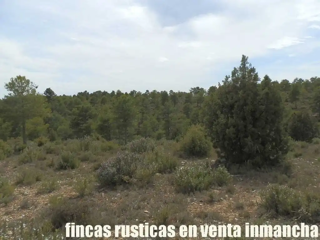 Terreni e lotti in vendita a Carboneras de Guadazaón, imagen 9