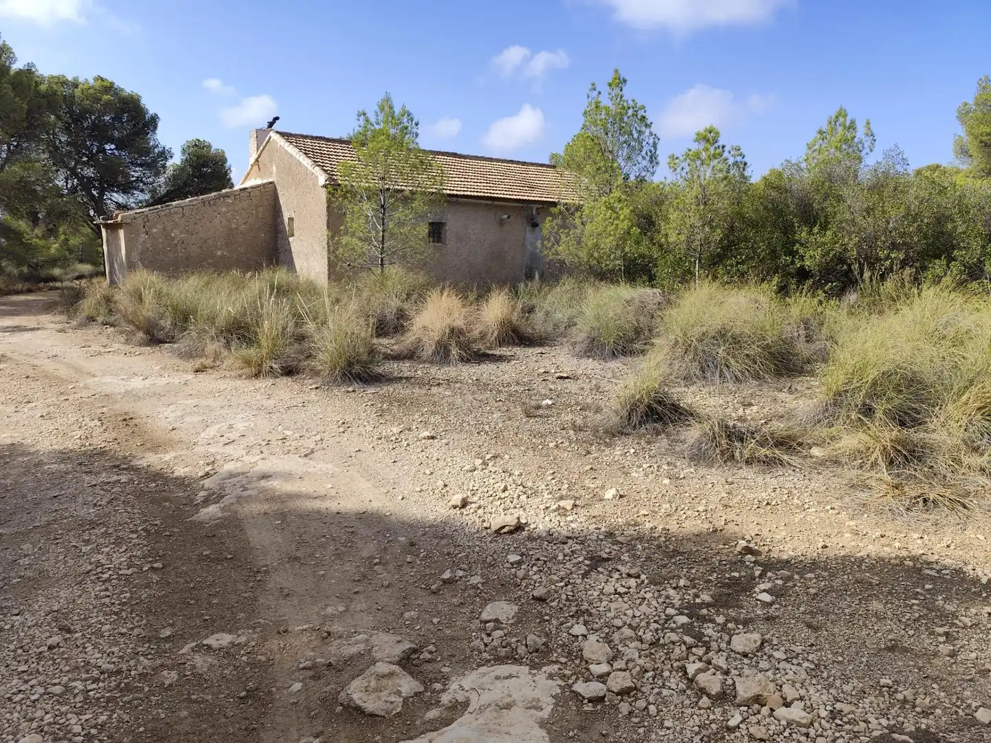 Terrenys i solars en venda a Totana, imagen 19