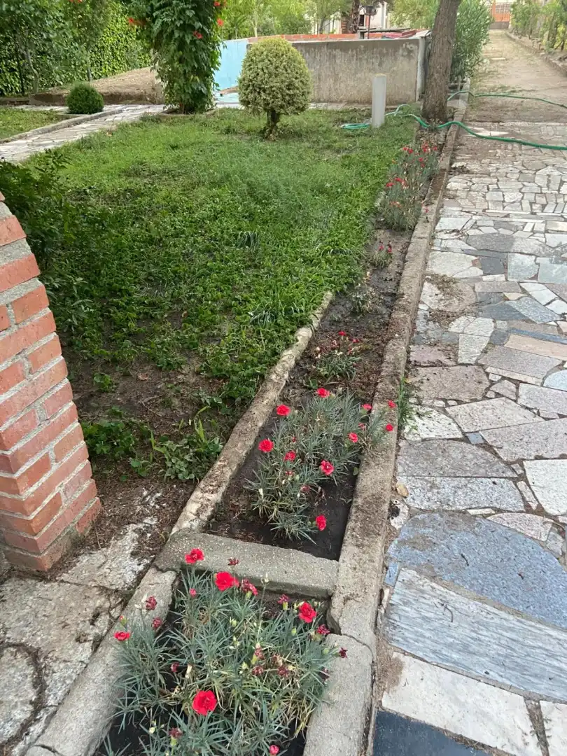 Jardí de Finca rústica en venda en Villanueva de Duero amb Jardí privat