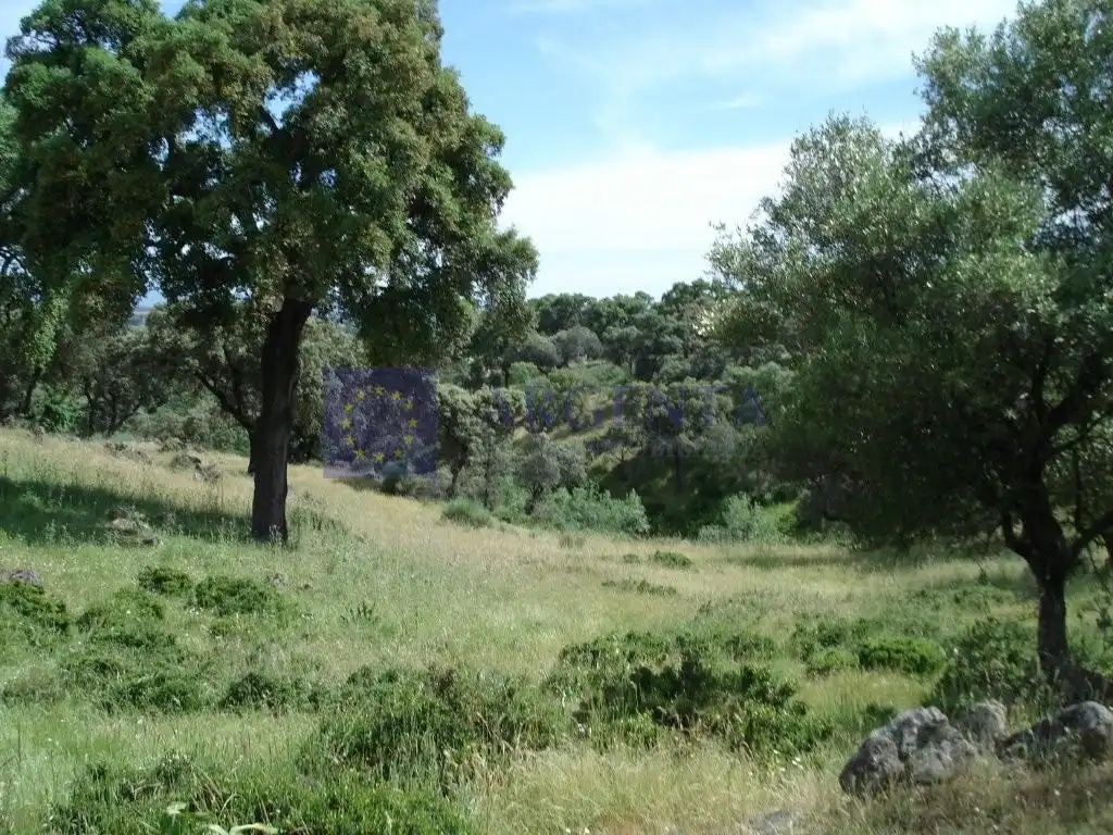 Maison à vendre à Poligono 11 Paraje 59 Cañada, imagen 6