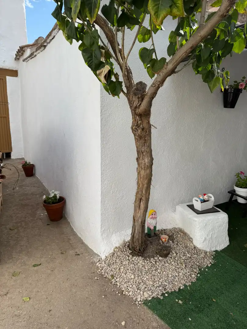 Casa amb jardí en venda a Sonseca, imagen 10
