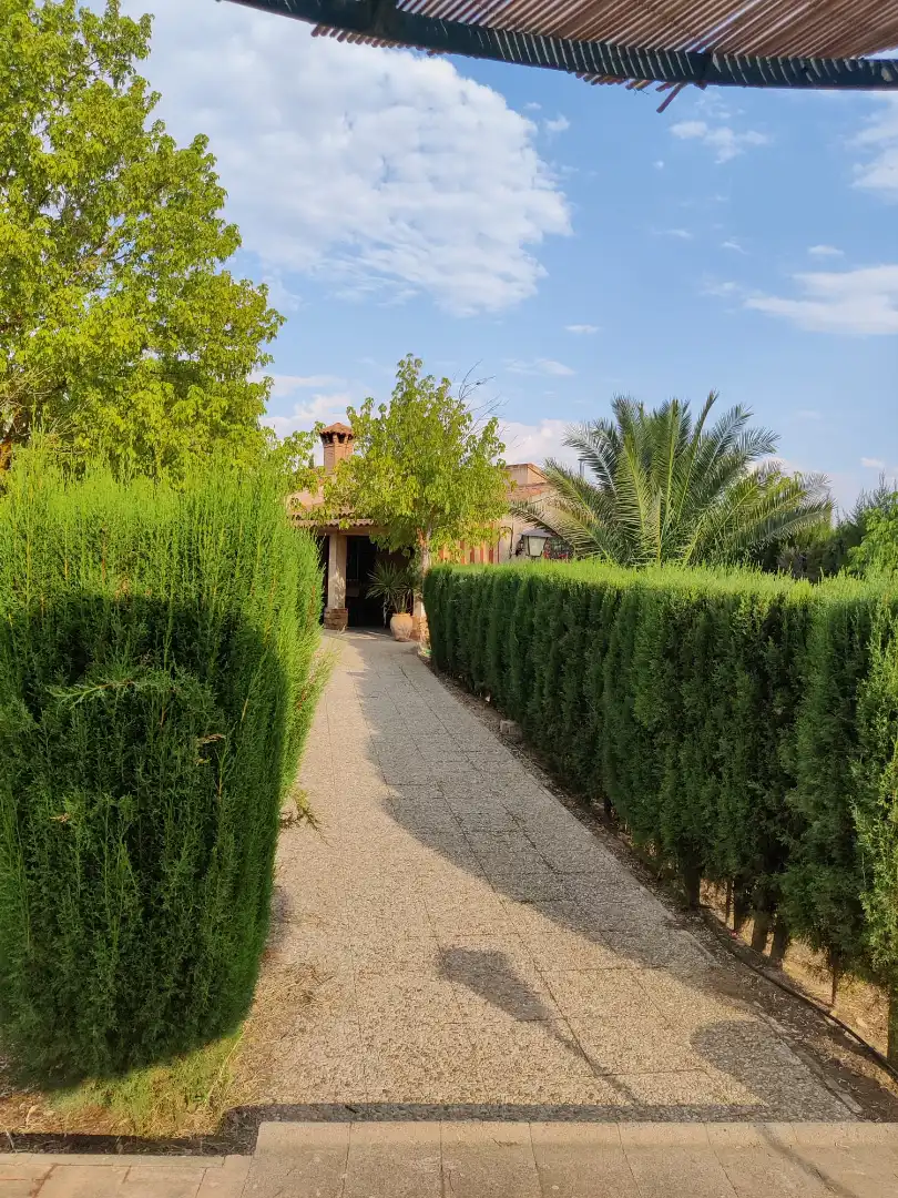 Chalet con piscina en venta en Fernán Caballero, imagen 20