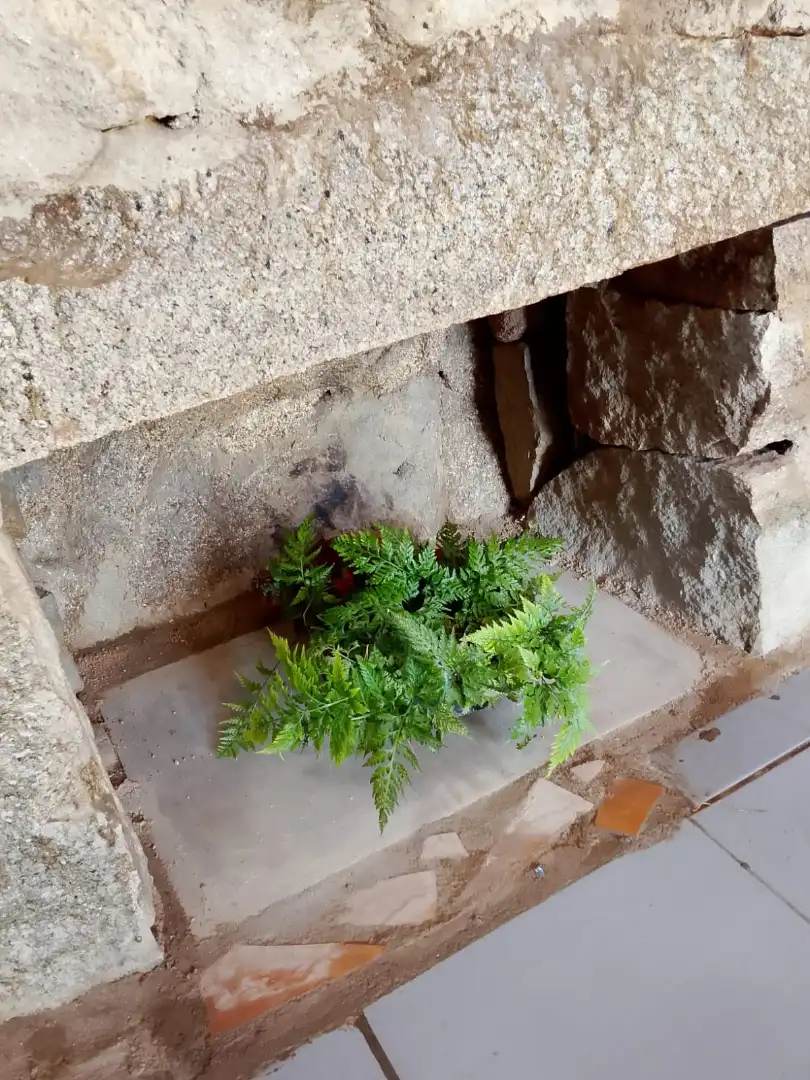 Terreni e lotti in affitto a Vilaplana, imagen 24
