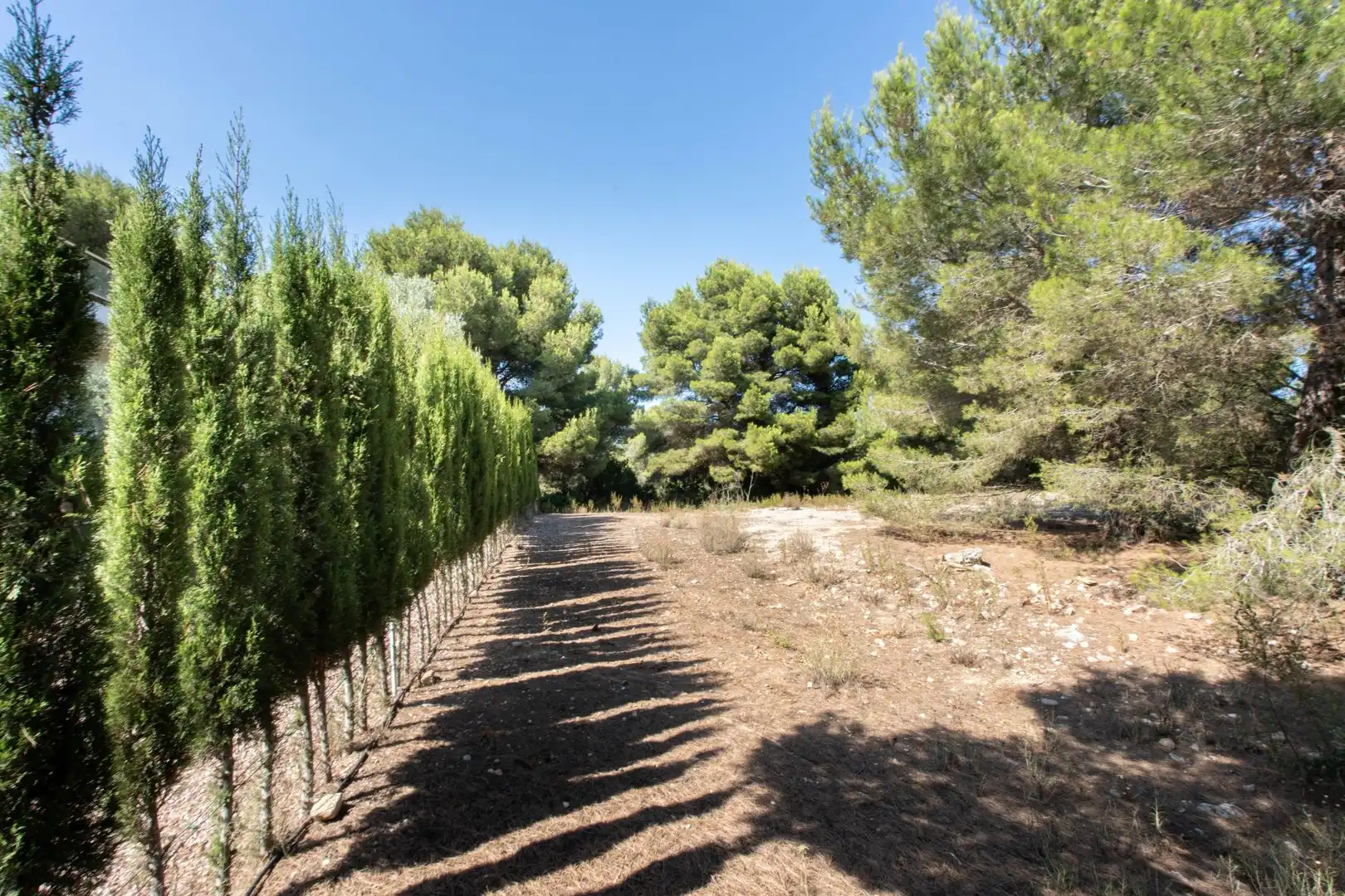Residential land for sale in Centro ciudad, imagen 2