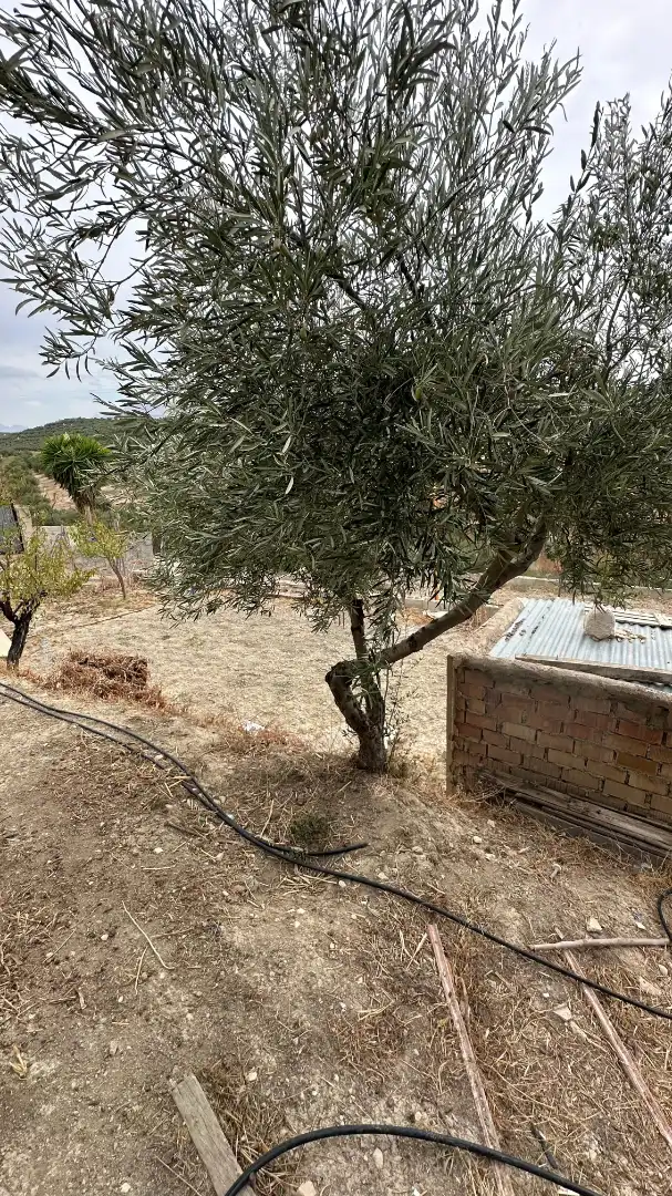 Casa rústica amb jardí en venda a Calle Mirador Sierra de Jaén, imagen 19