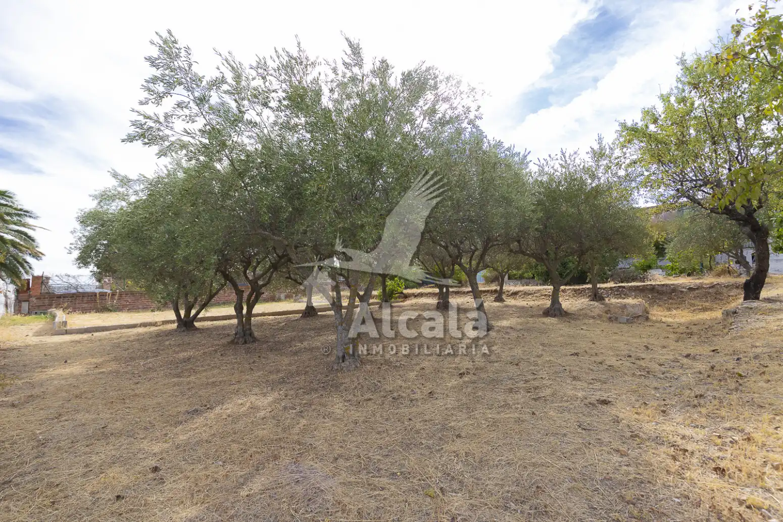 Maison à vendre à Camarma de Esteruelas, imagen 80