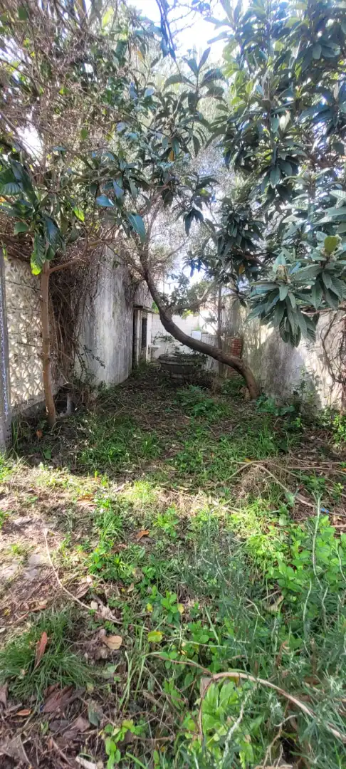 Casa rústica amb piscina en venda a Autovía Los Barrios 8, imagen 8