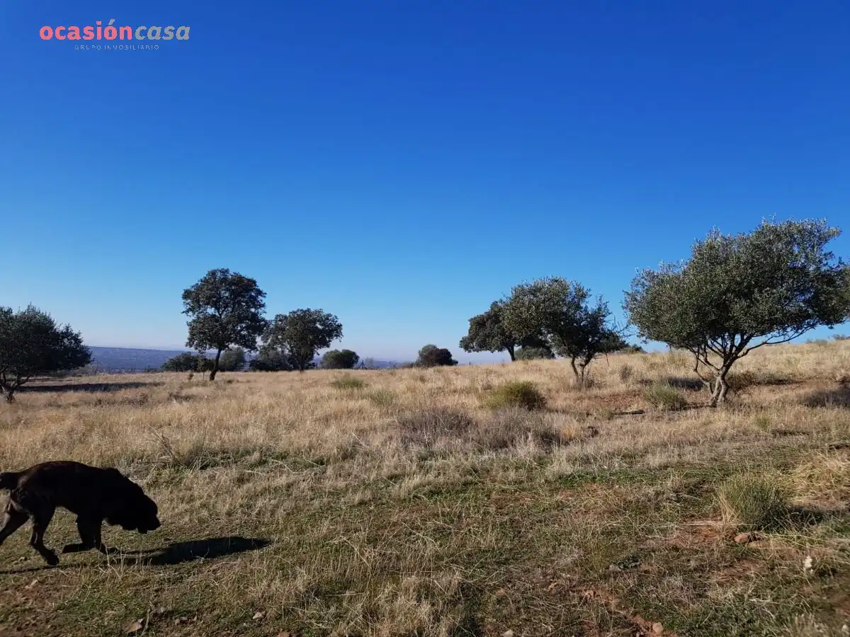 Casa o chalet en venta en Santa Eufemia