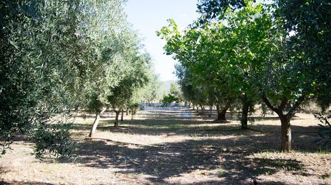 Foto 4 de Finca rústica en venda a Urbanizaciones, Llíria