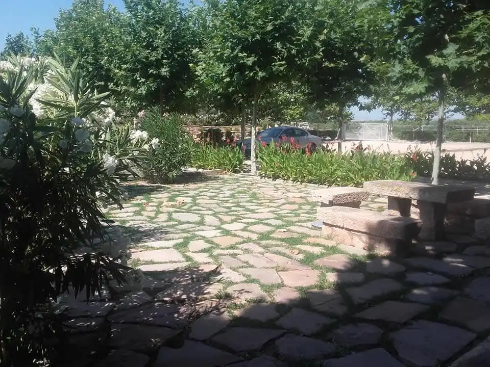 Garden of Land for sale in Tudela