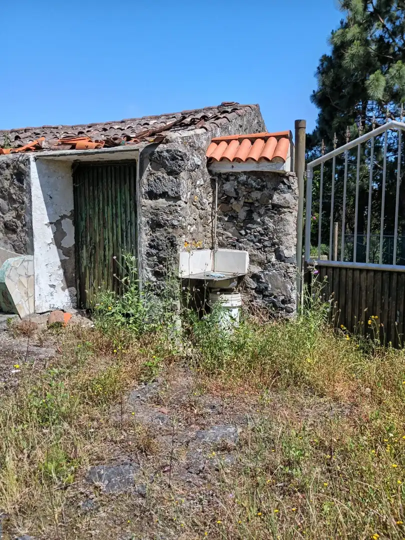 Vista exterior de Finca rústica en venta en Garachico