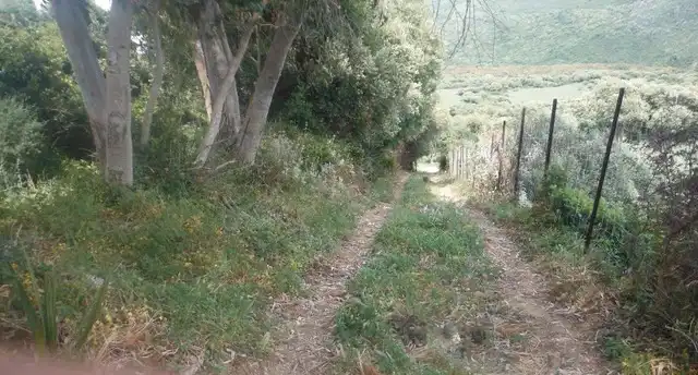 Rustikales Grundstück zum Verkauf in Puerto El Bujeo, imagen 6