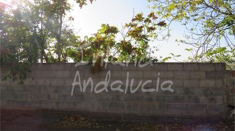 Imatge 2 de l'anunci