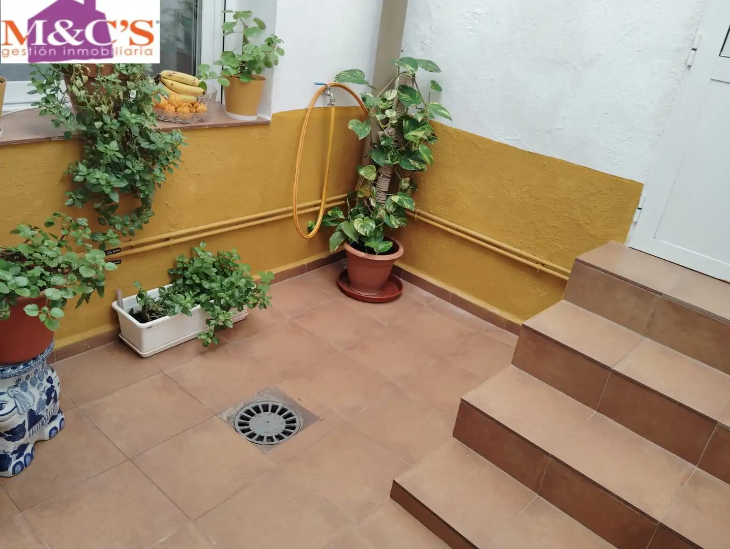House with pool for sale in Centro, imagen 12
