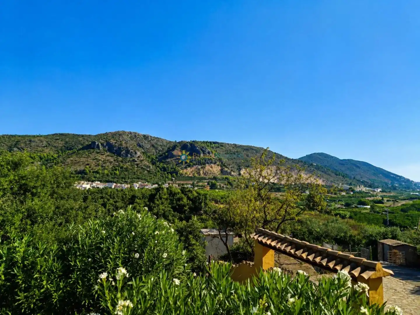 Rural land for sale in L'Atzúbia, imagen 6