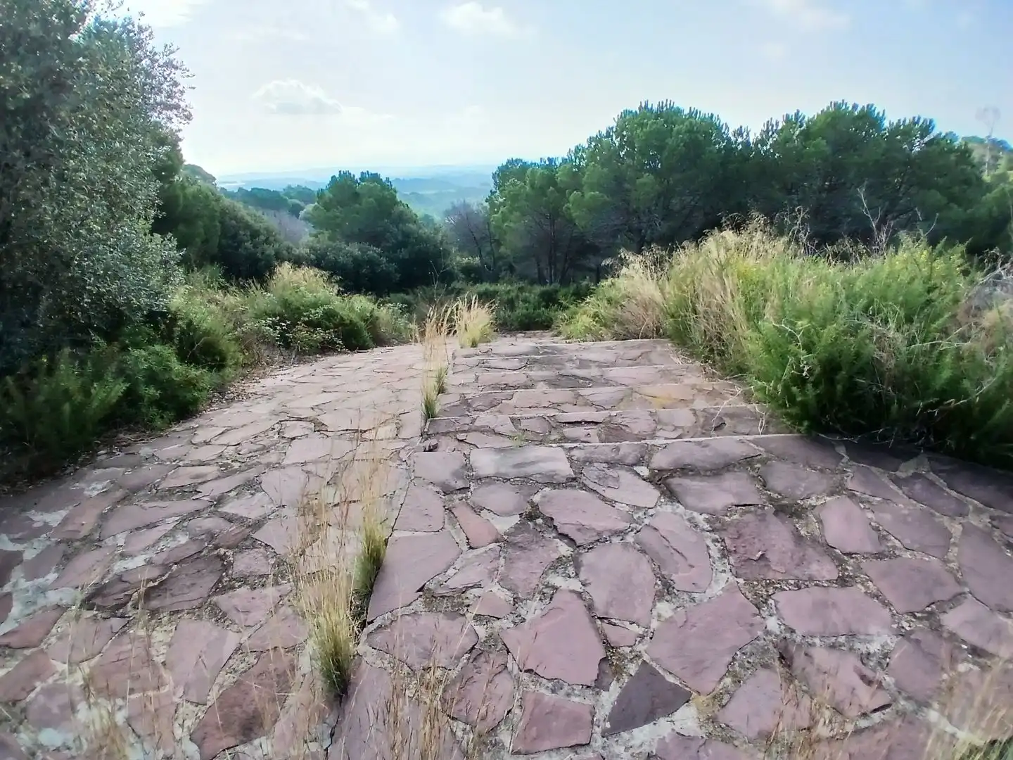 Terrain rustique à vendre à Avinguda Mirador 57, imagen 8
