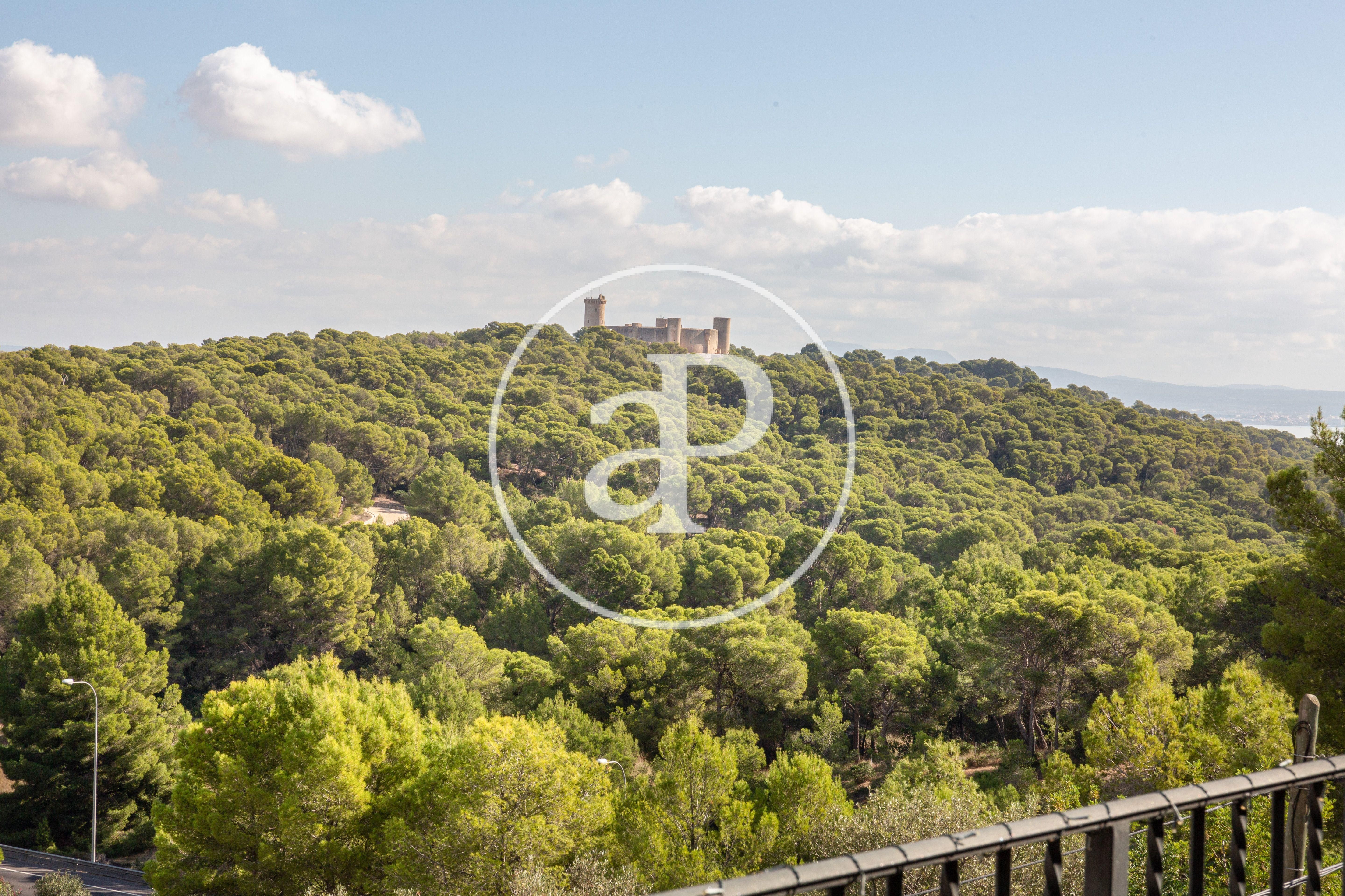 Exterior view of Duplex for sale in  Palma de Mallorca  with Air Conditioner, Private garden and Terrace