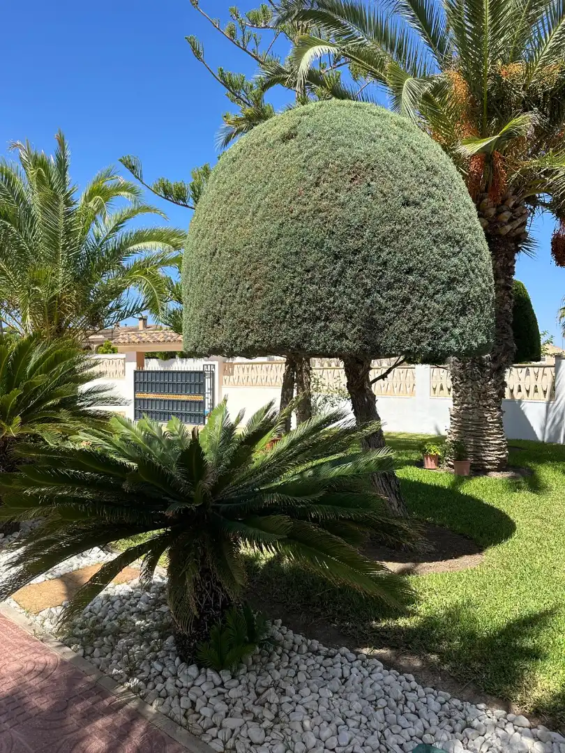 Jardín de Casa o chalet en venta en Mutxamel con Aire acondicionado, Calefacción y Jardín privado