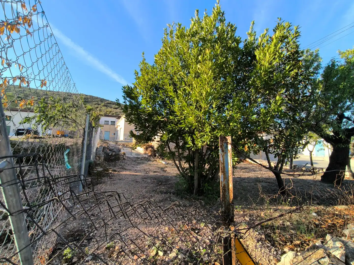 Finca rústica en venda en Algueña amb Calefacció i Terrassa