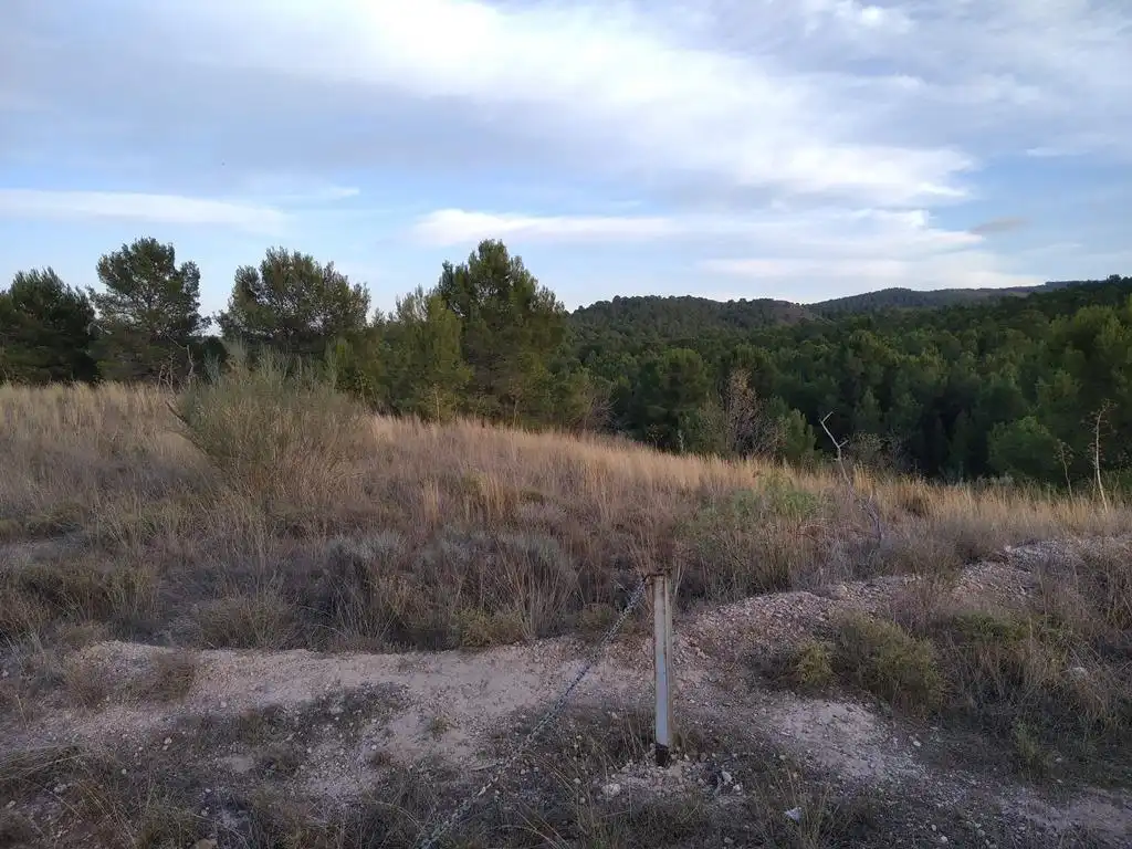 Casa o chalet en venta en Ortillo