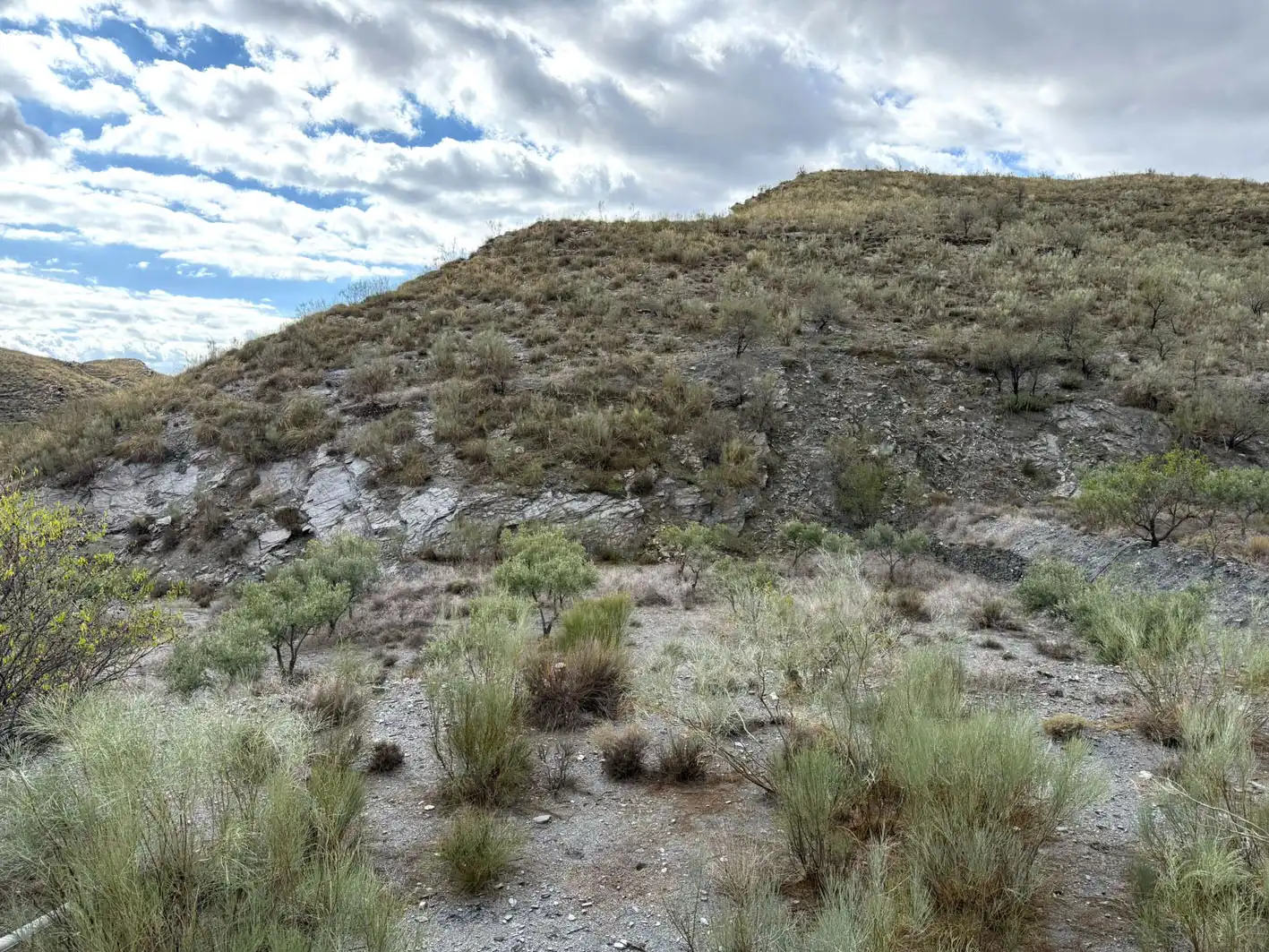 Rural land for sale in Calle Nudos, imagen 3