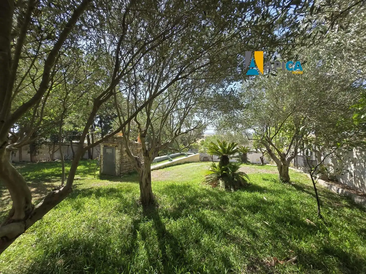 Jardín de Casa o chalet en venta en Chiclana de la Frontera con Piscina