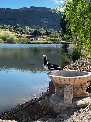 Terreno en Venta en CR-7125, 1 en Malagón