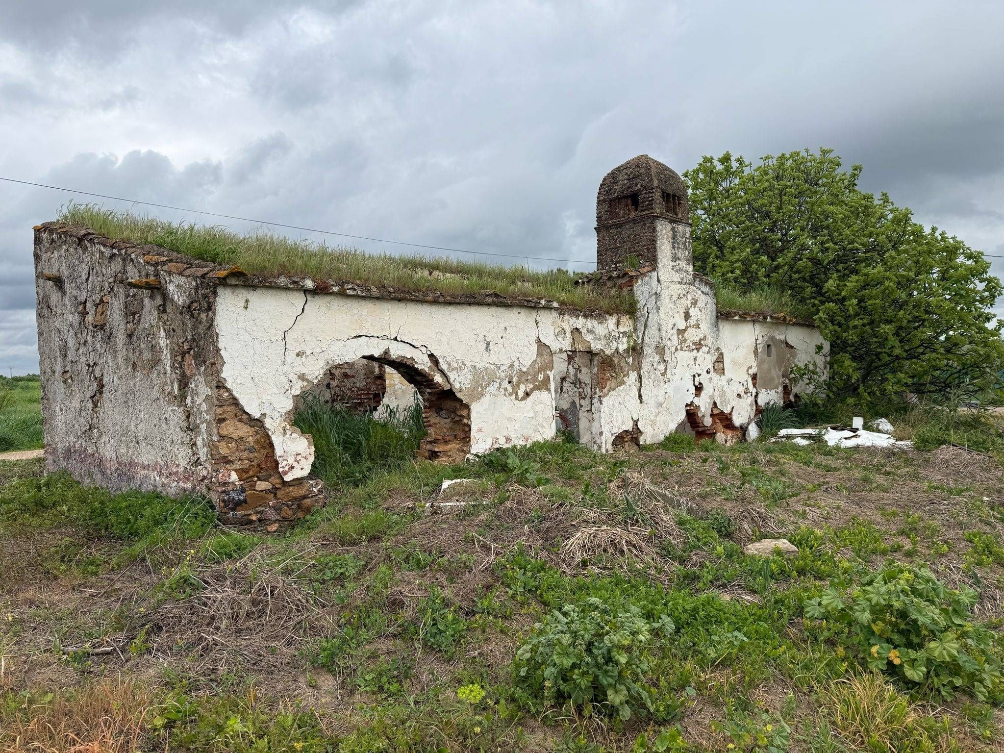 Vista exterior de Finca rústica en venda en Olivenza