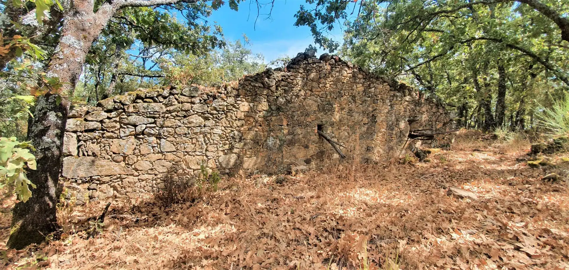 Terreni e lotti in vendita a Jarandilla de la Vera, imagen 13