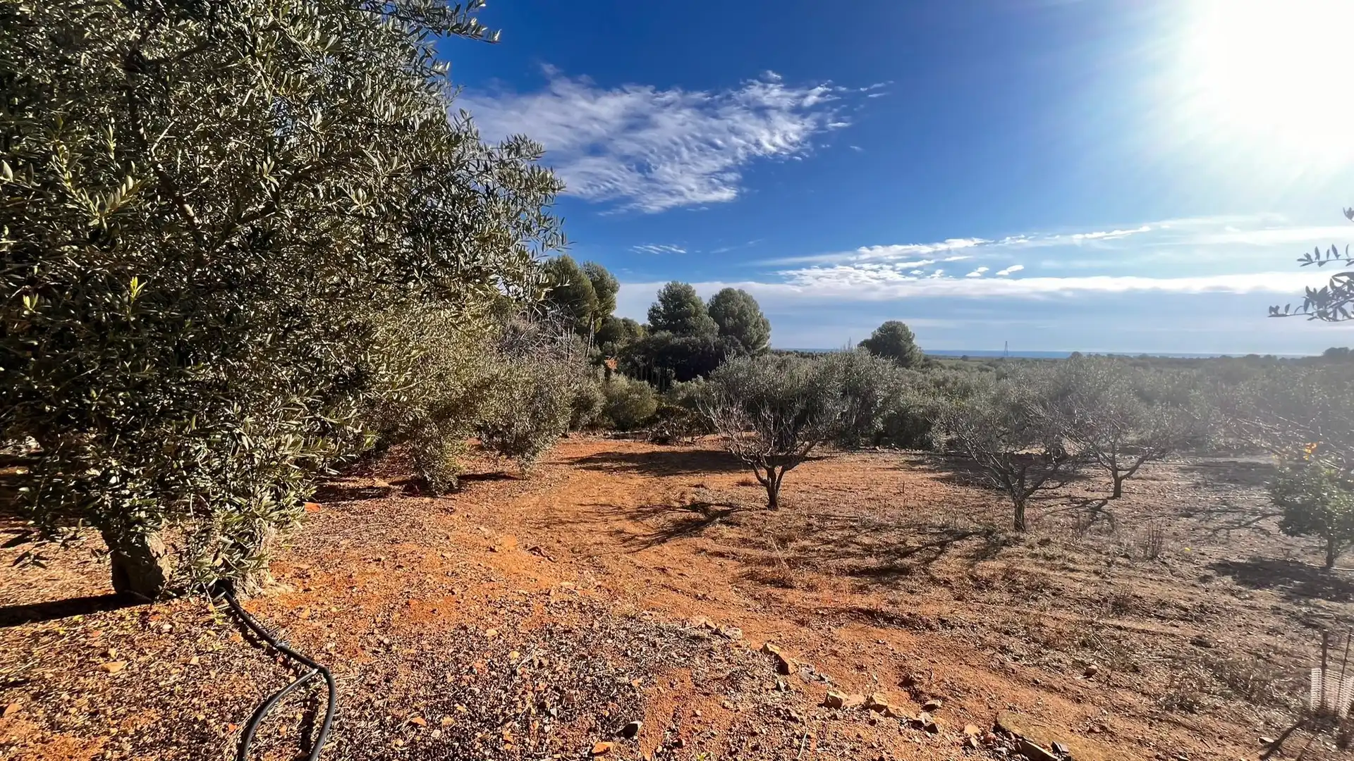 Terreno rustico in vendita a Carrer de Sant Abdó i Sant Senén, imagen 22