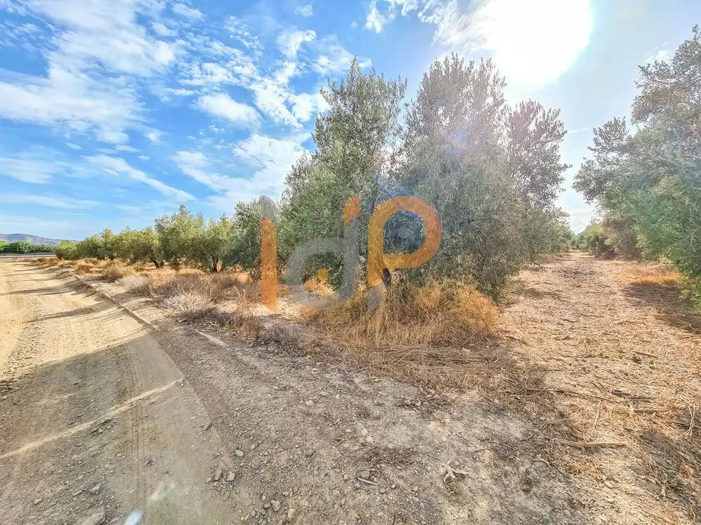 Terrenys i solars en venda a Huércal-Overa, imagen 10