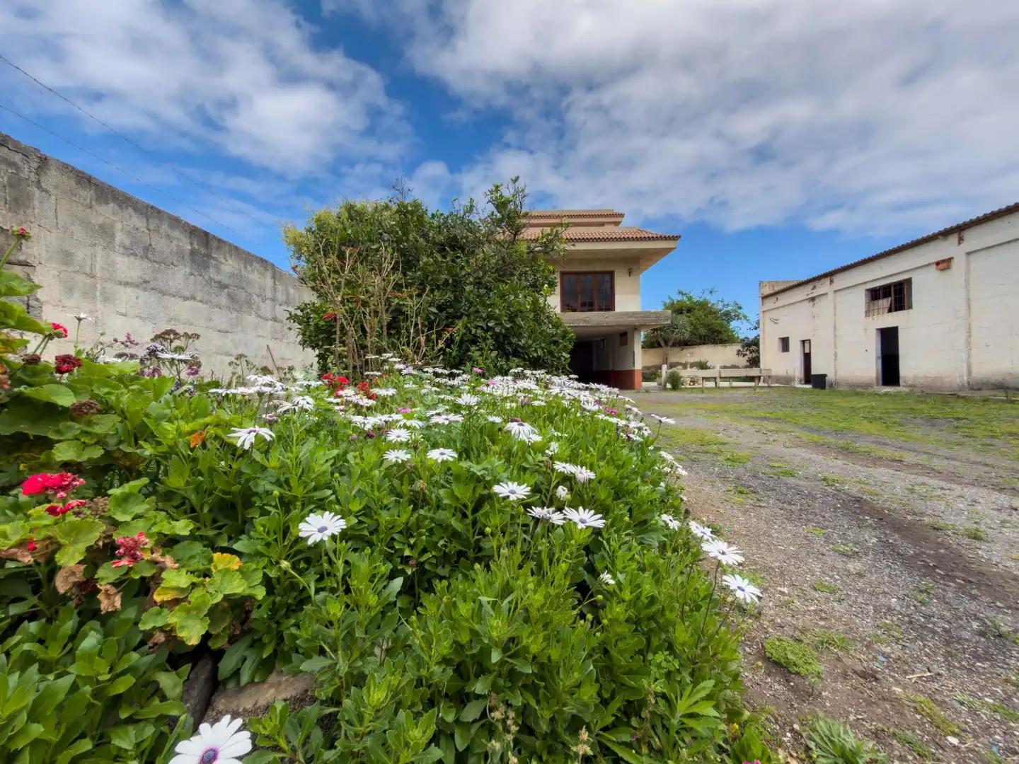 Exterior view of Houses for sale in Icod de los Vinos  with Private garden, Terrace and Balcony