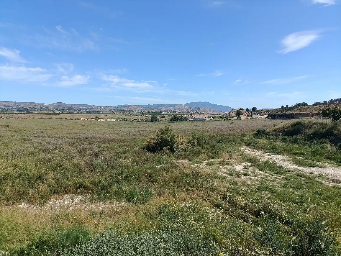 Lands and plots for sale in Mula, imagen 8