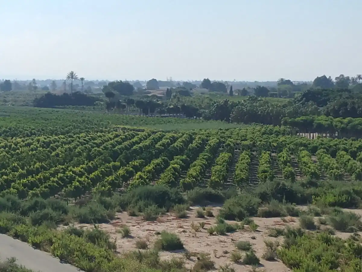 Rustikales Grundstück zum Verkauf in llano san jose, imagen 10