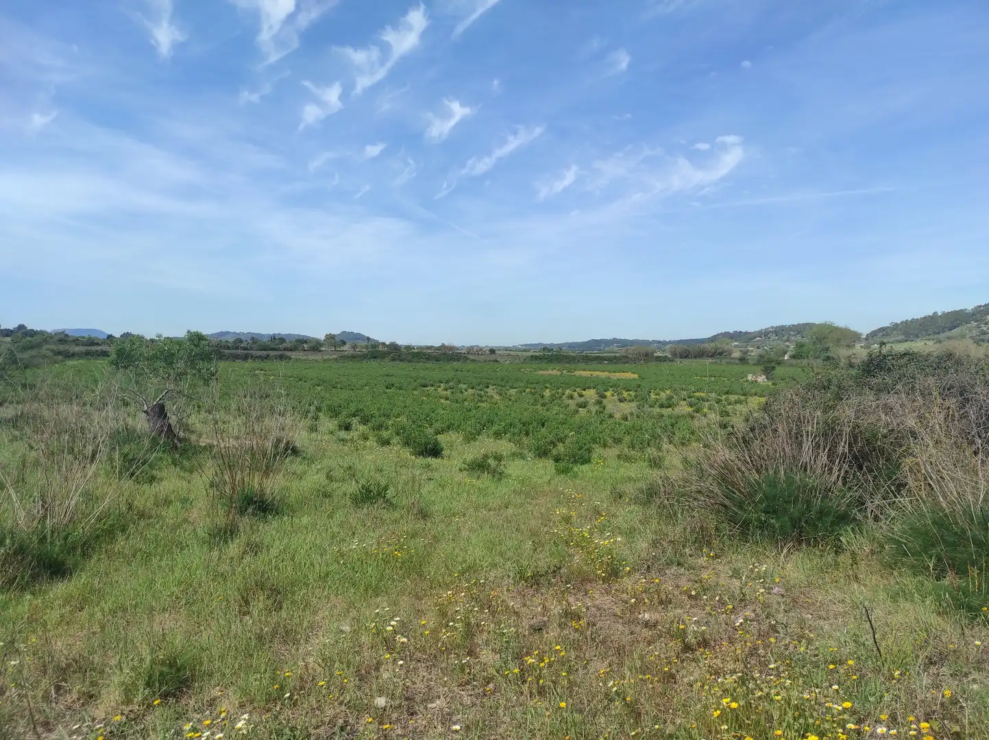 Terreno residencial en venta en Sineu, imagen 9