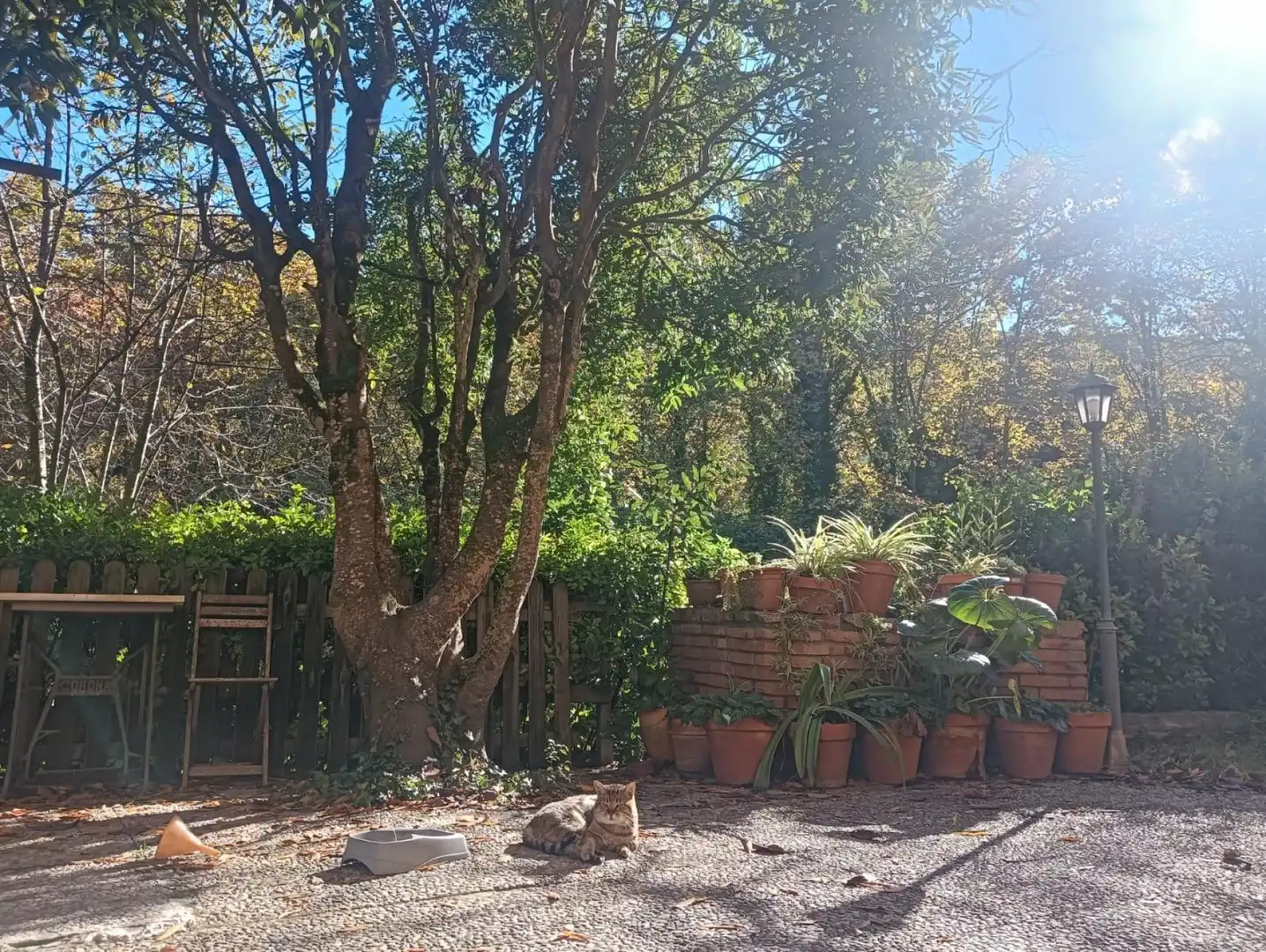Finca rústica en venda a Vallgorguina