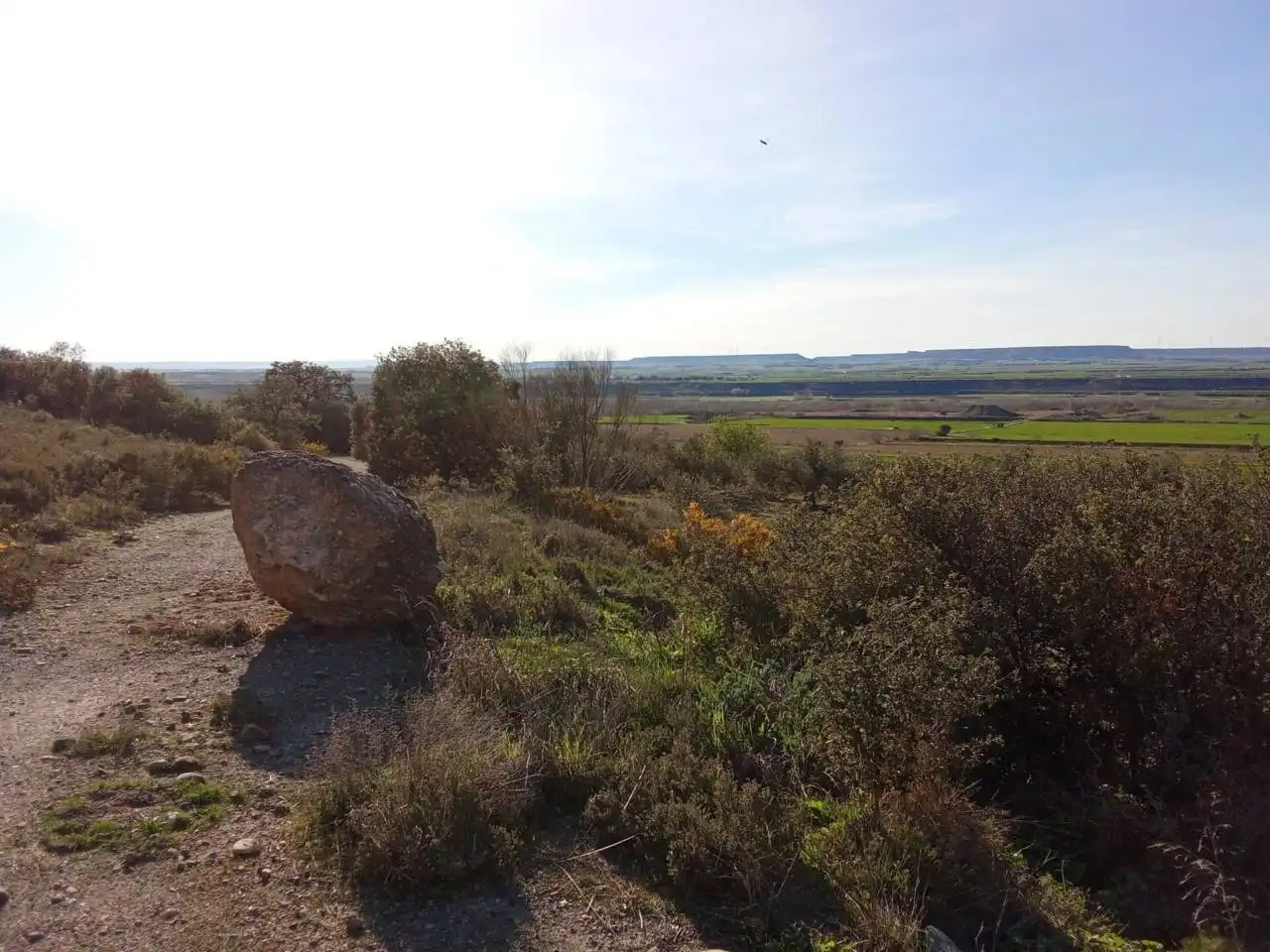 Terreno en venta en Alfántega