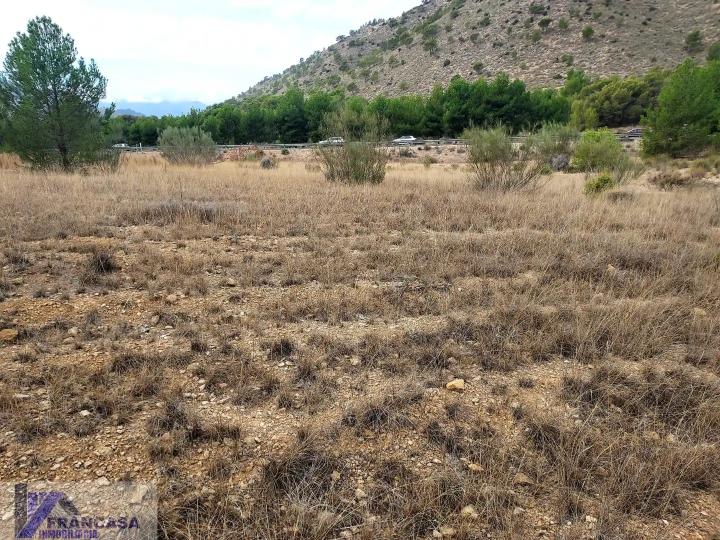Terrenys i solars en venda a Cieza