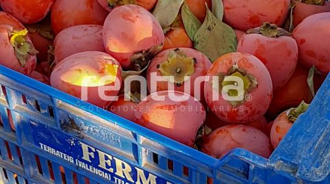 Immagine 5 dell'annuncio