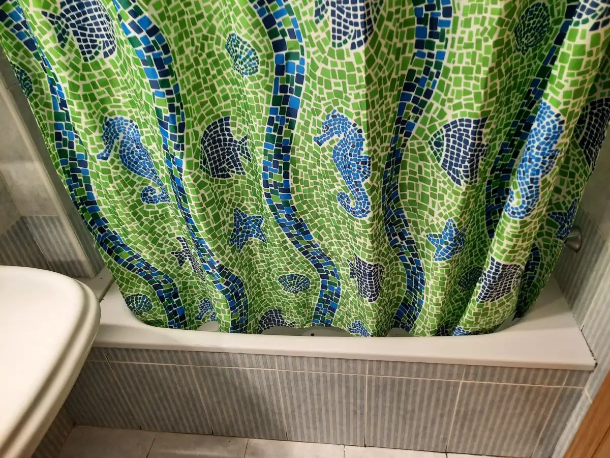 Apartament amb piscina de lloguer a Playa de Gandia, imagen 17