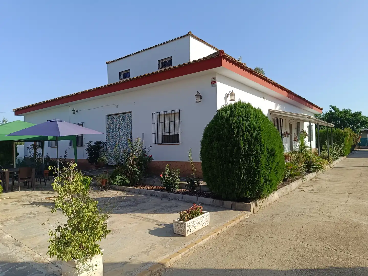 Vista exterior de Casa o xalet en venda en Carmona amb Aire condicionat, Jardí privat i Terrassa