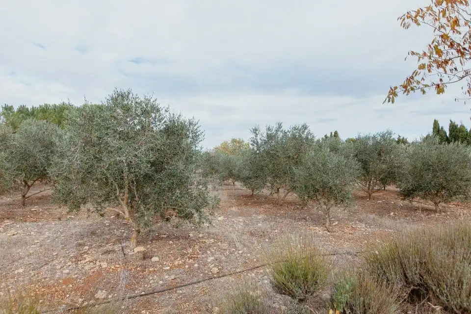 Casa o chalet en venta en Huesca con Aire acondicionado, Calefacción y Jardín privado