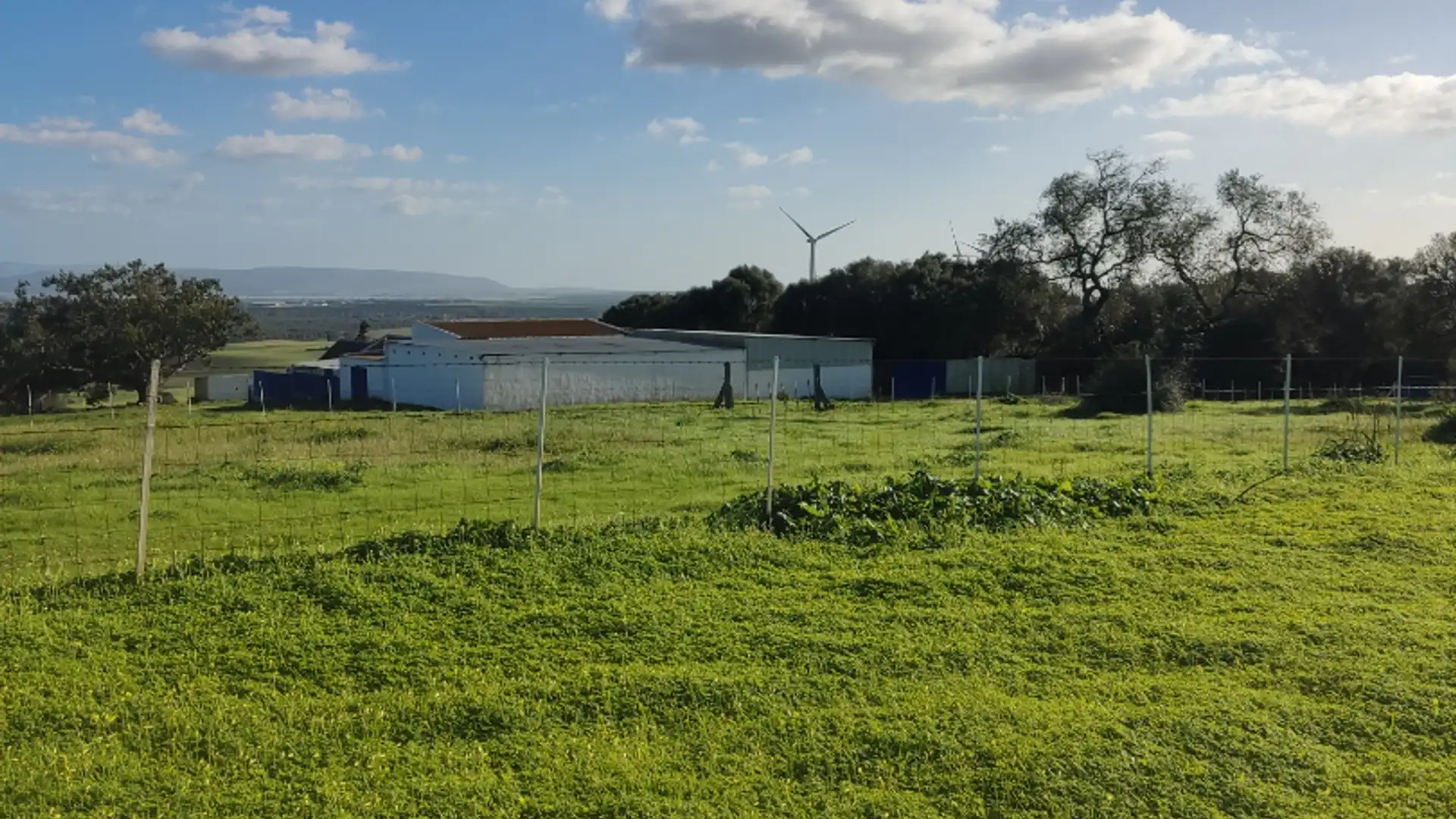 Country homes for rent