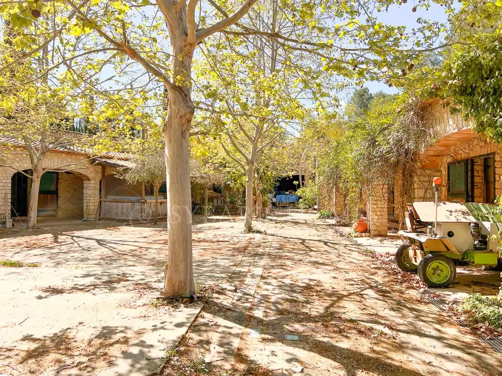 Maison à vendre à Poligono 3 Paraje 81 Pla De L'Horta, imagen 100
