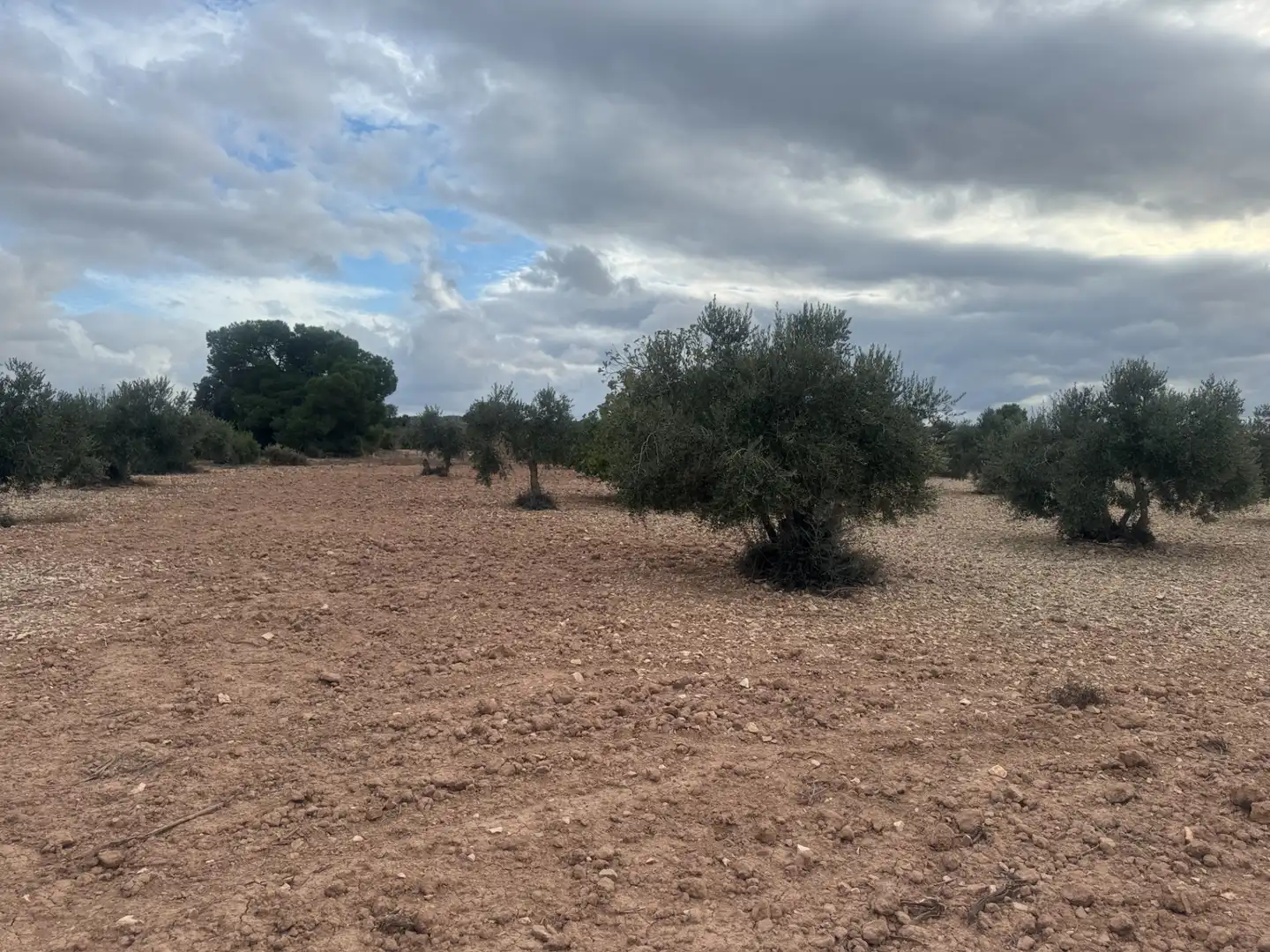 Terreny rústic en venda a Sant Martí de Riucorb, imagen 7